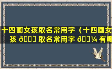 十四画女孩取名常用字（十四画女孩 🐕 取名常用字 🐼 有哪些）